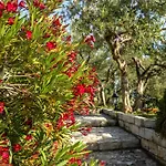 Ela Villa Makarska